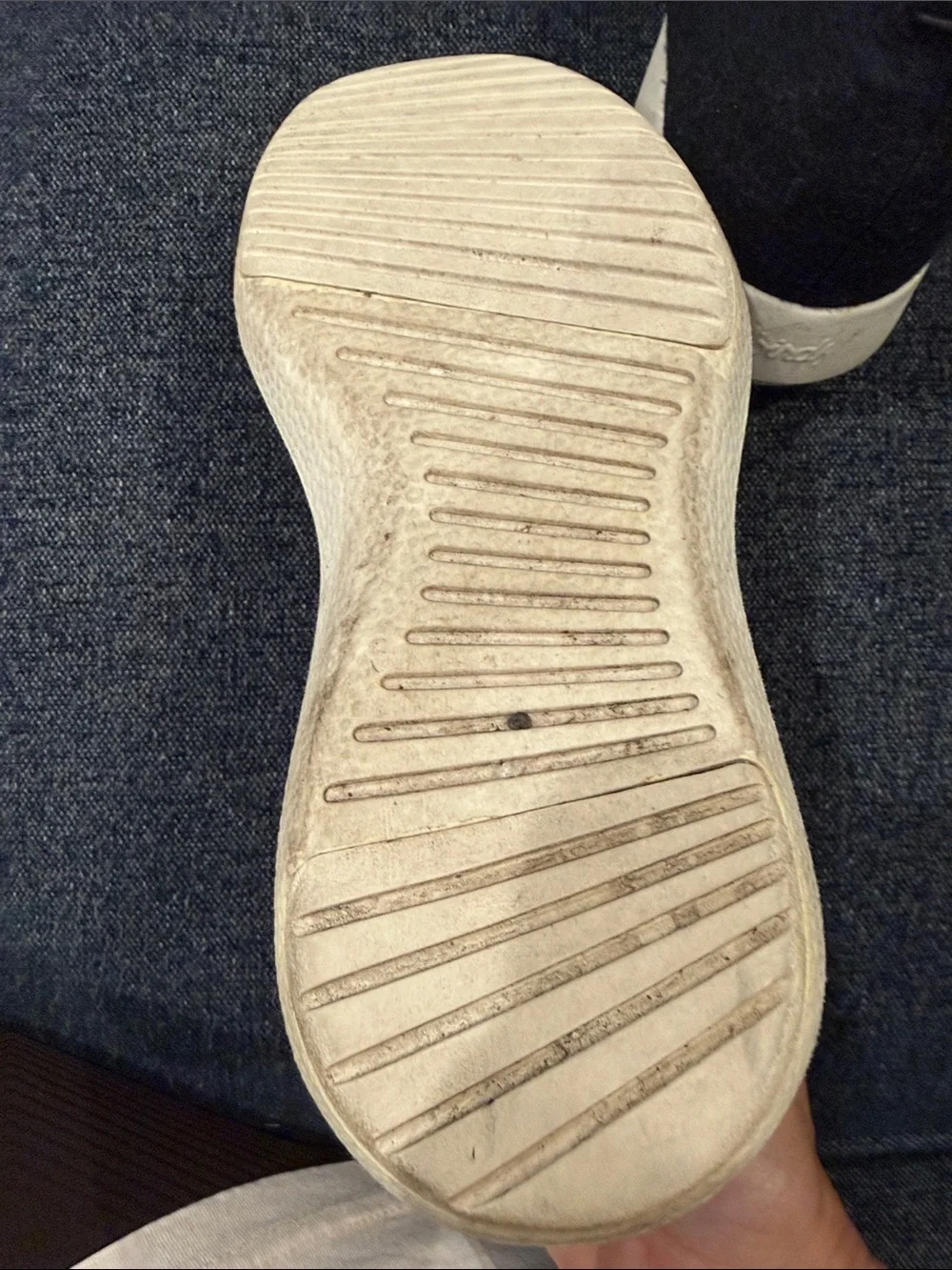 allbirds lightweight wool